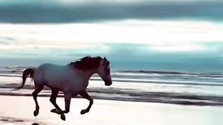 freedom and beauty of nature