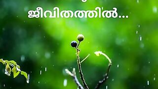 malayalam_whatsapp_status_video