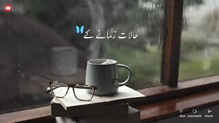 Hum_Saath_Main_Chalte_Hai_-_New_TikTok_Shayari_-_Shayari_Whatsapp_status_-_Shayari_urdu_-_Zunaira(480p).