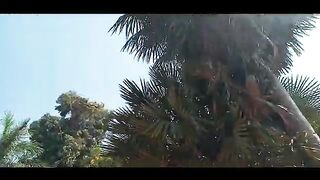 Some views of agricultural land on the banks of the Nile
