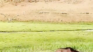 fart attack