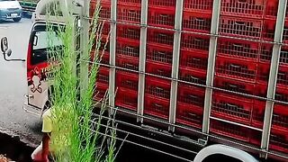 ayam broiler || kata kata lucu 32