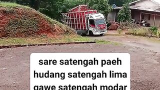 ayam broiler || kata kata lucu 34