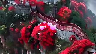 status,status video,status song,status whatsap,beast song,good song,video,natural 516