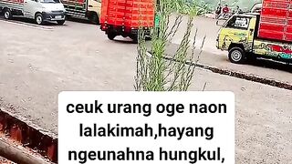 ayam broiler || kata kata lucu 36