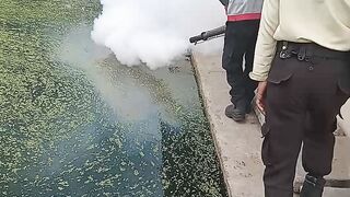fumigation in the mess area