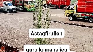 ayam broiler || kata kata lucu 37