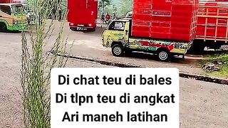 ayam broiler || kata kata lucu 38