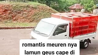 ayam broiler || kata kata lucu 39