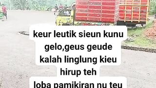 ayam broiler || kata kata lucu 40