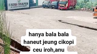 ayam broiler || kata kata lucu 42
