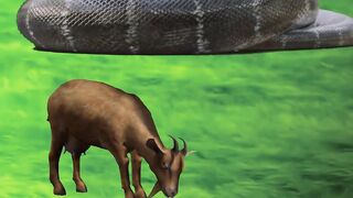ANACONDA!!!