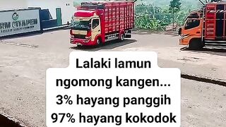 ayam broiler || kata kata lucu 43