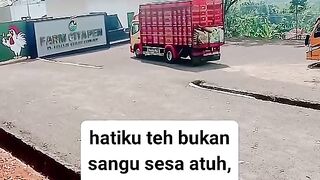ayam broiler || kata kata lucu 45