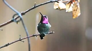 Flume - Go (Official Music Video)(360P)