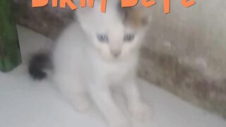 Cuek Mulu Bikin Bete
