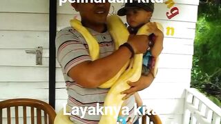 Binatang peliharaan