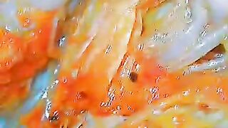 Sea food????