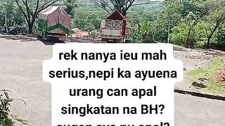 ayam broiler || kata kata lucu 51