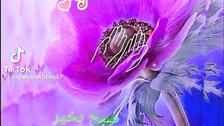 subha bakhar 3