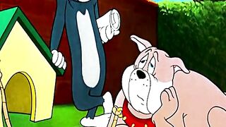 Tom & jerry 10