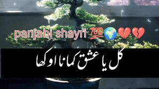 How to panjabi shairy ???????????????? 2