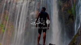 video 513