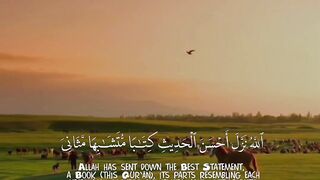 video 515