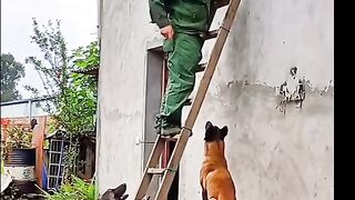 Regardez ce video 3375