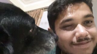 Dog love 3