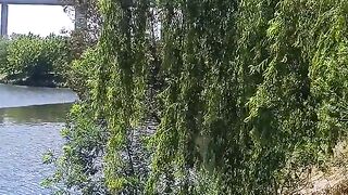 اغنيه رومانسيه عن الطبيعة الخلابة