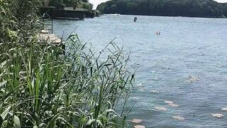 Lacul Snagov 2