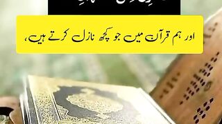 بہت ہی خوبصورت تلاوت