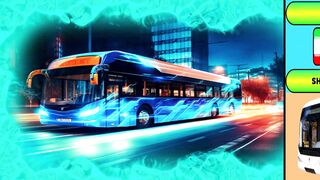 Buses From Different Countries