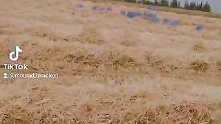Agricultire 2