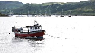 Les pêcheurs des poissons Fréchet