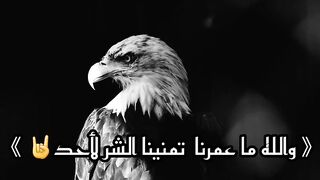 شيلات حزينه