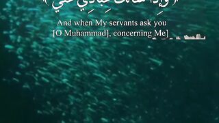القرآن الكريم 9