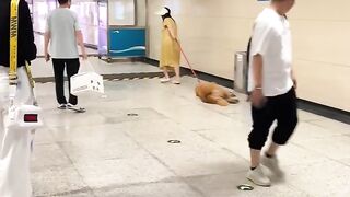 Bisa bisanya di akhir video dia bangun