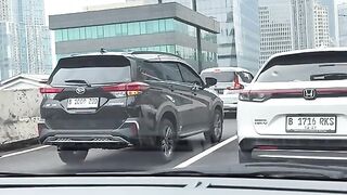 Domba nyasar di jalan raya
