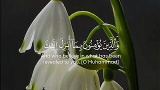 Quran Al Kareem 6