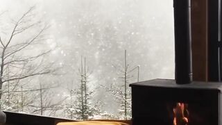 Beautiful winter 2