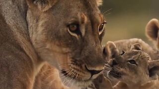 Africa Love
