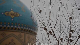 Hadees_Status_For_Whatsapp_Urdu____Hadees_Status_In_Urdu____Jumma_Status___