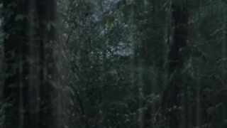 Som de chuva na floresta