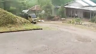 ayam broiler || kata kata lucu 53