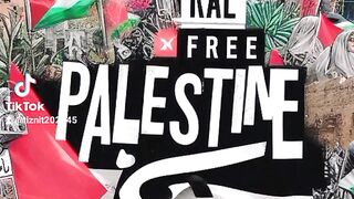 فلسطين 2