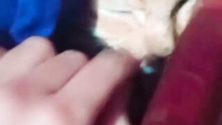lovlycat