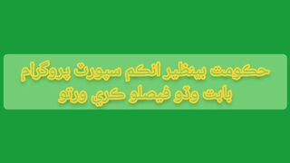Benazir Income Support Program kay hawaly say Government ka aik acha decision aya ha