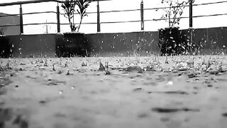 Beautiful Rain